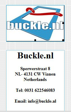 buckle.nl buckle.nl